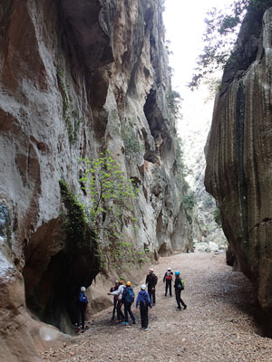 trekking aventura serra tramuntana